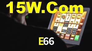 Premium Interface E66